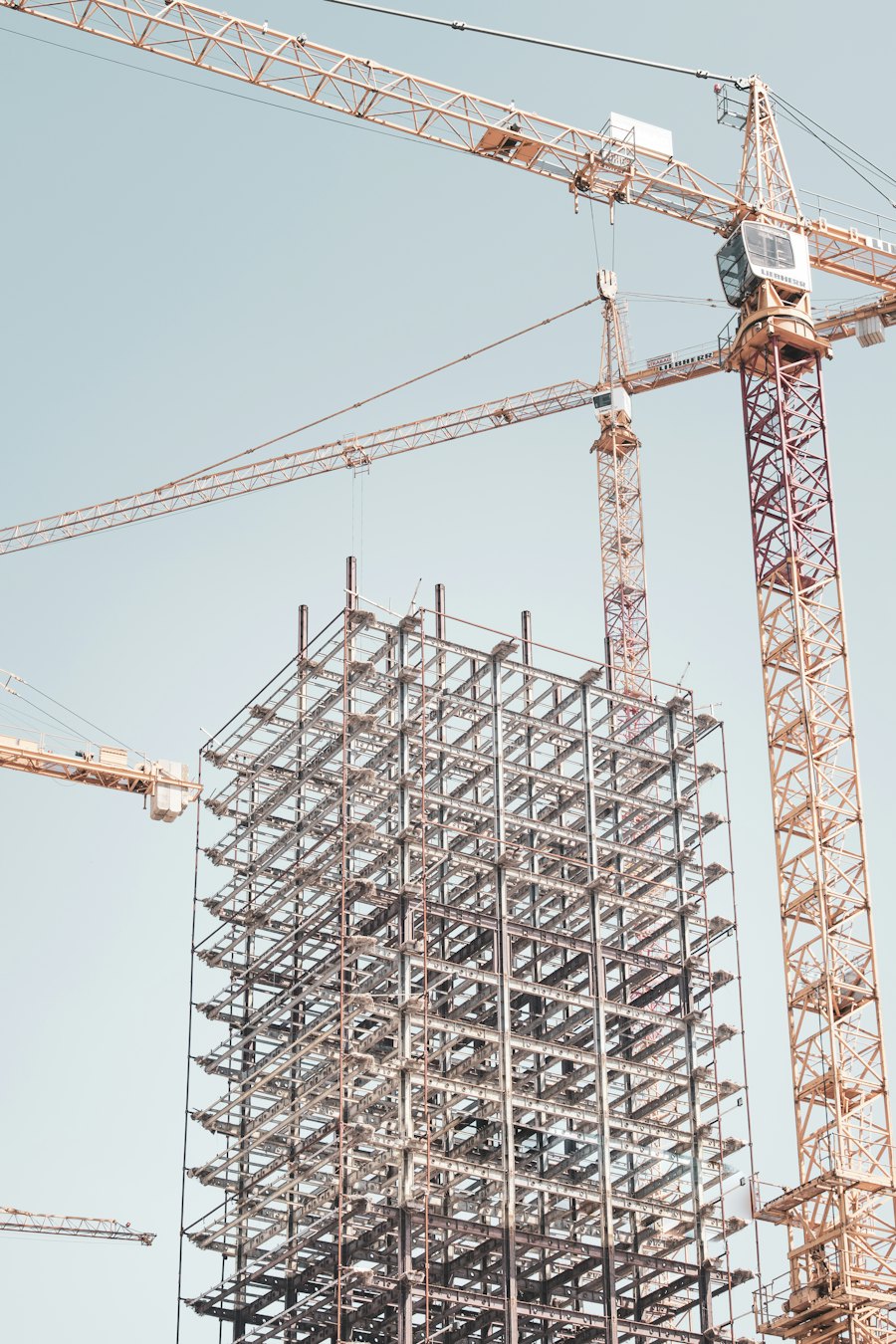 Steel building frame beside a tower crane